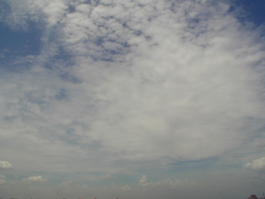 28960 (a): :1280x960